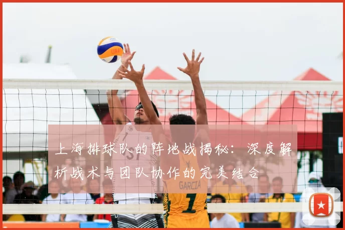 上海排球队的阵地战揭秘：深度解析战术与团队协作的完美结合