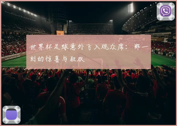 世界杯足球意外飞入观众席:那一刻的惊喜与狂欢