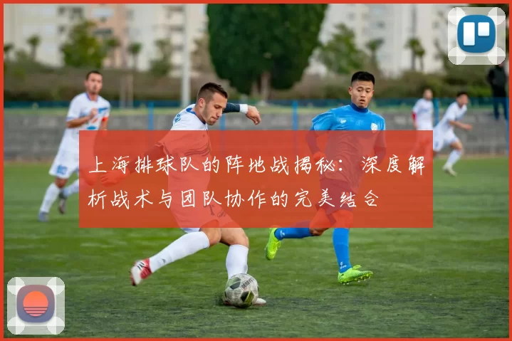 上海排球队的阵地战揭秘：深度解析战术与团队协作的完美结合