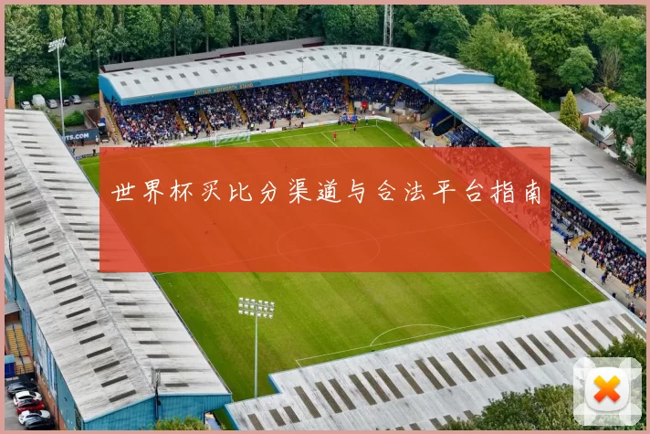 世界杯买比分渠道与合法平台指南