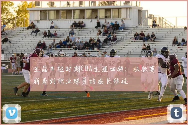 王晶年轻时期CBA生涯回顾：从联赛新秀到职业球员的成长轨迹