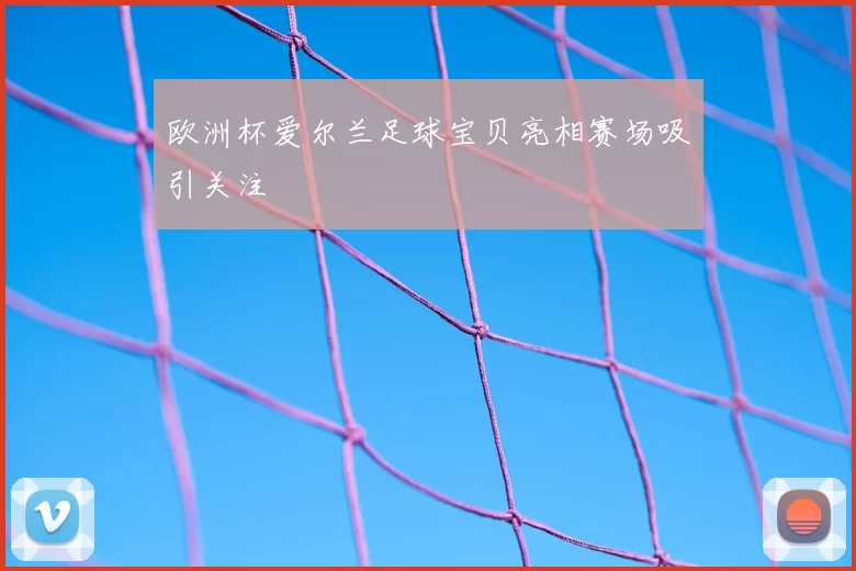 欧洲杯爱尔兰足球宝贝亮相赛场吸引关注