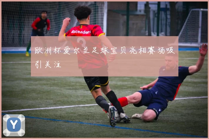 欧洲杯爱尔兰足球宝贝亮相赛场吸引关注