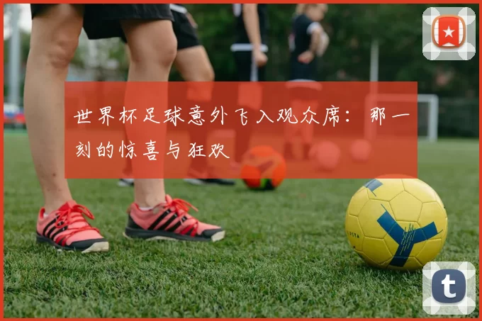 世界杯足球意外飞入观众席:那一刻的惊喜与狂欢