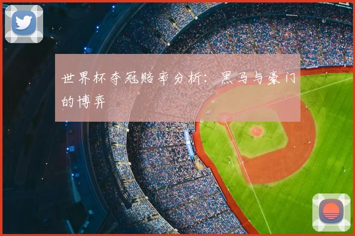 世界杯夺冠赔率分析：黑马与豪门的博弈