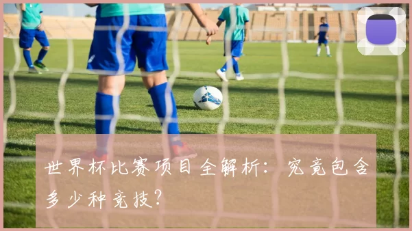 世界杯比赛项目全解析：究竟包含多少种竞技？