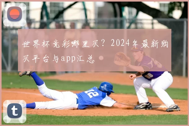 世界杯竞彩哪里买？2024年最新购买平台与app汇总