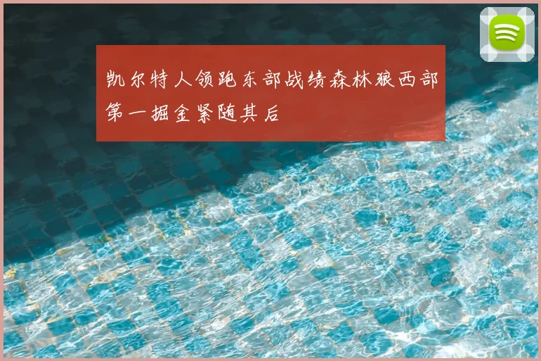 凯尔特人领跑东部战绩森林狼西部第一掘金紧随其后