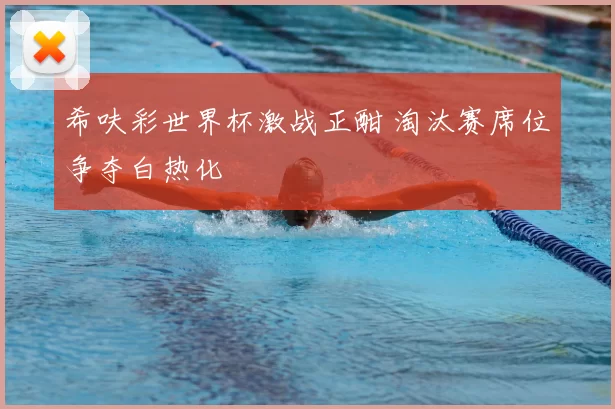 希呋彩世界杯激战正酣 淘汰赛席位争夺白热化