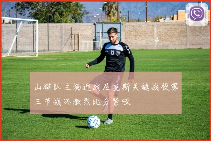 山猫队主场迎战尼克斯关键战役第三节战况激烈比分紧咬