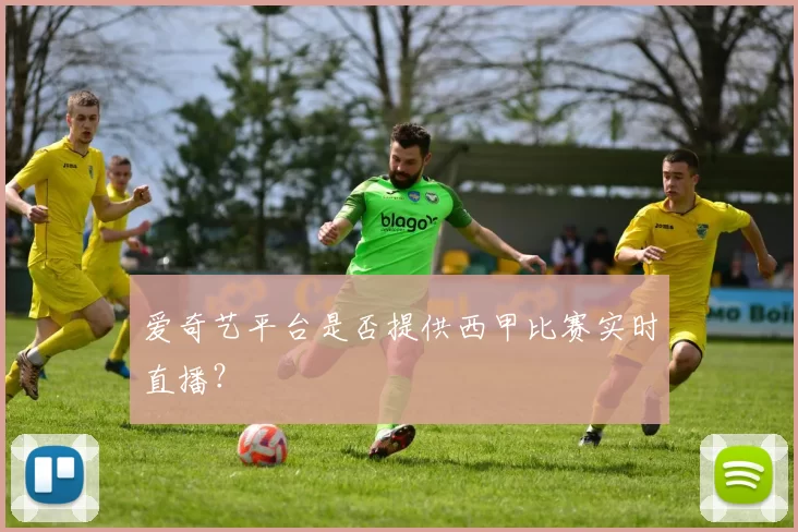 爱奇艺平台是否提供西甲比赛实时直播?