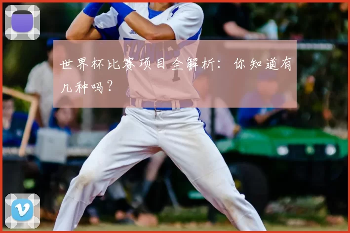 世界杯比赛项目全解析:你知道有几种吗?
