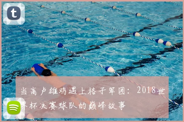 当高卢雄鸡遇上格子军团:2018世界杯决赛球队的巅峰故事