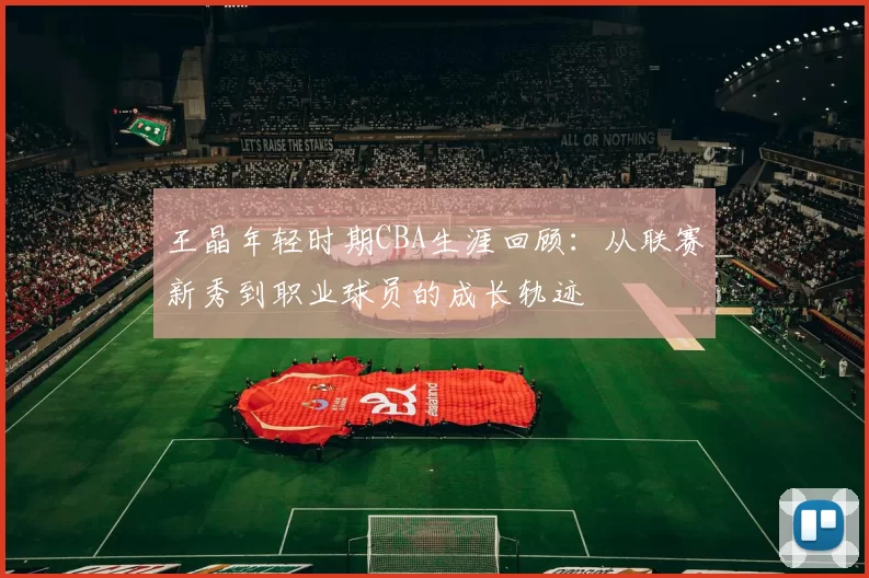 王晶年轻时期CBA生涯回顾：从联赛新秀到职业球员的成长轨迹