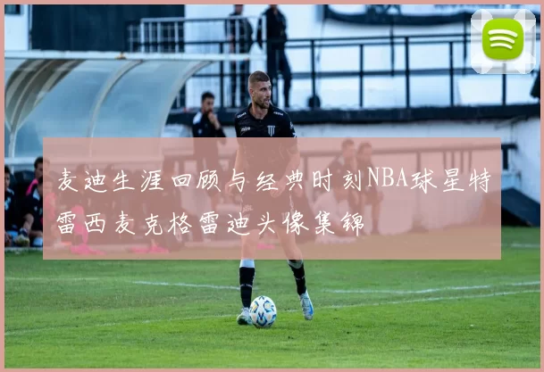 麦迪生涯回顾与经典时刻NBA球星特雷西麦克格雷迪头像集锦