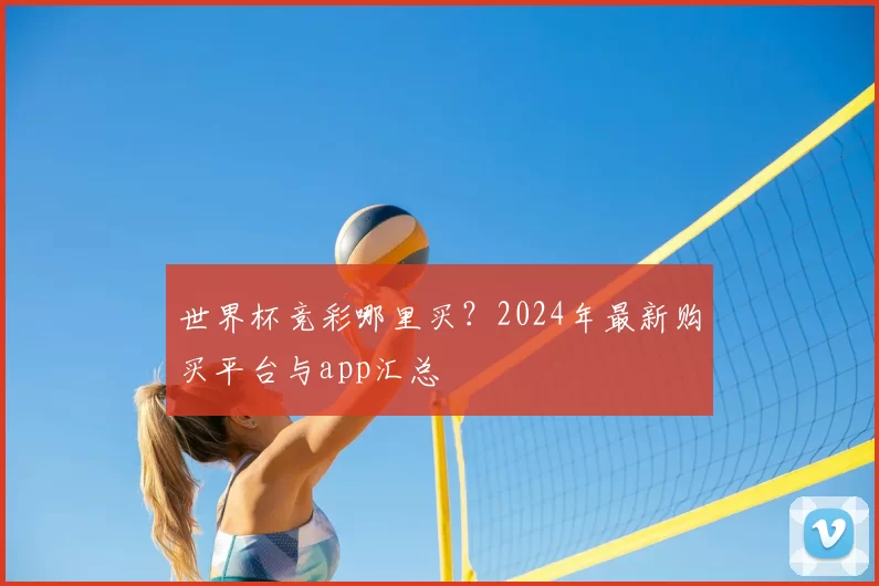 世界杯竞彩哪里买?2024年最新购买平台与app汇总