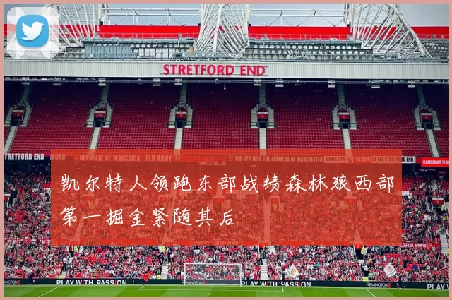 凯尔特人领跑东部战绩森林狼西部第一掘金紧随其后