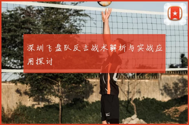 深圳飞盘队反击战术解析与实战应用探讨