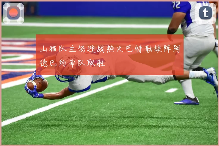 山猫队主场迎战热火巴特勒缺阵阿德巴约率队取胜