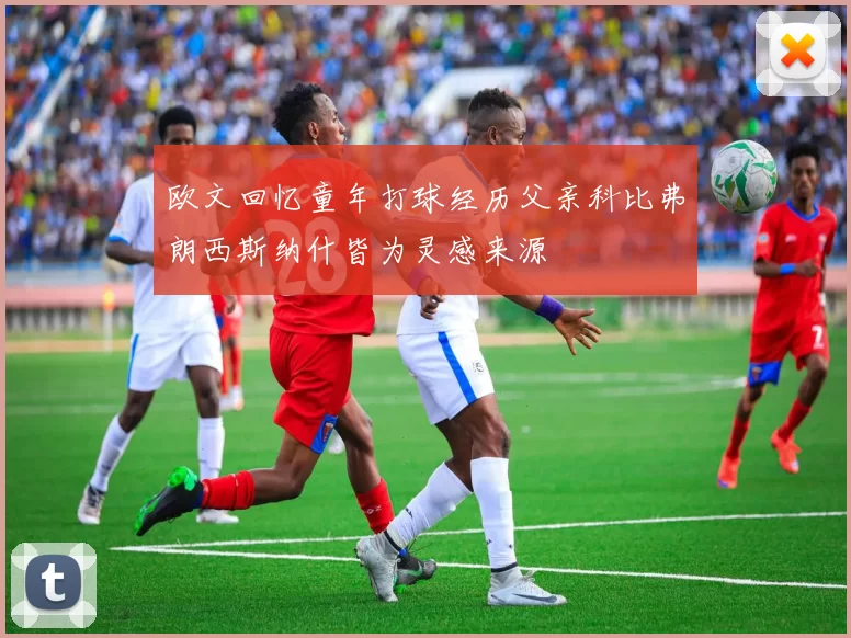 欧文回忆童年打球经历父亲科比弗朗西斯纳什皆为灵感来源