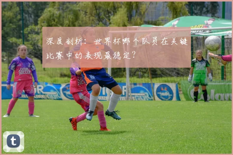深度剖析：世界杯哪个队员在关键比赛中的表现最稳定？