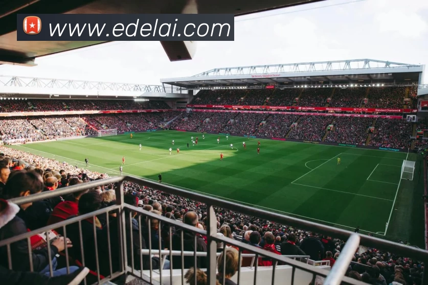 华体会app平台生态图